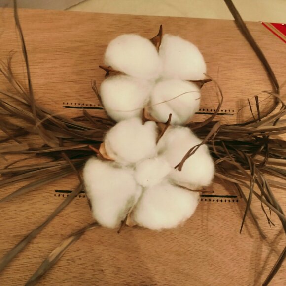 Suenos de Saundra Upcycled, Large, COROJO #5, Cigar Box, Home Accent/Storage - Picture 5 of 12